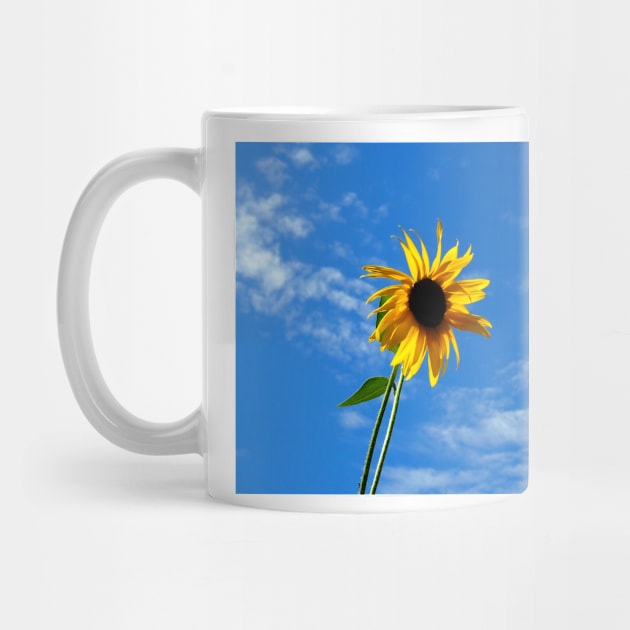 Lone Yellow Sunflower against the Summer Blue Sky by Scubagirlamy